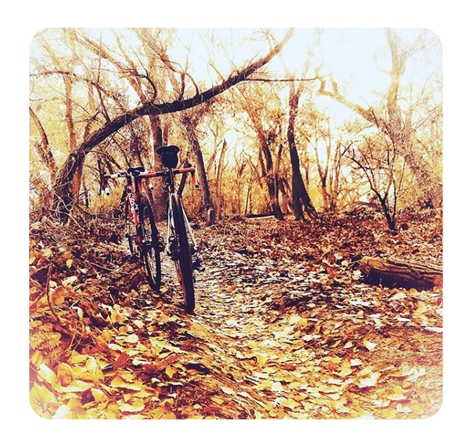 Gravel Bike Adventures Bosque Boogie Albuquerque Gravel Route in